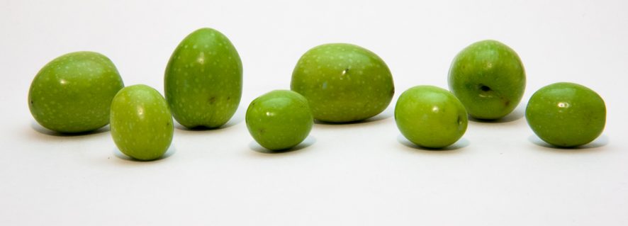Ocho aceitunas verdes de tamaños distintos alineadas sobre fondo blanco