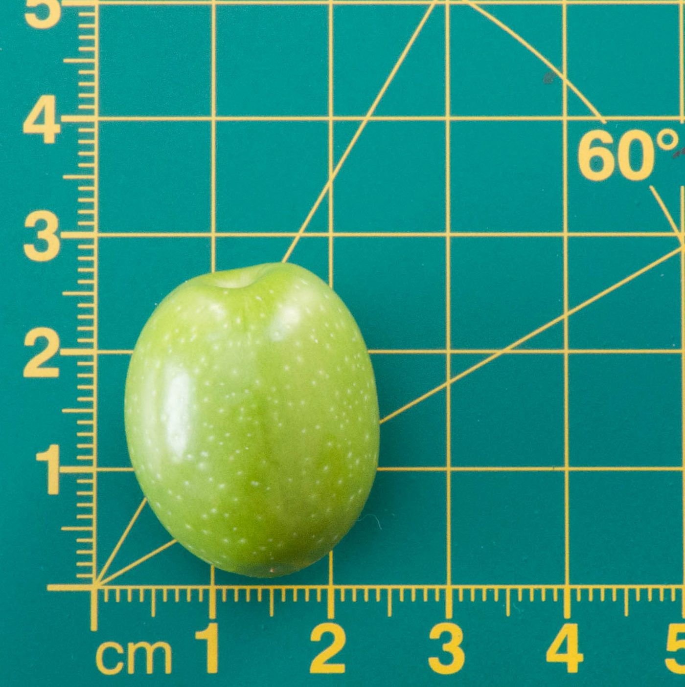Aceituna Manzanilla sobre la misma plantilla milimetrada, midiendo algo menos de dos centímetros