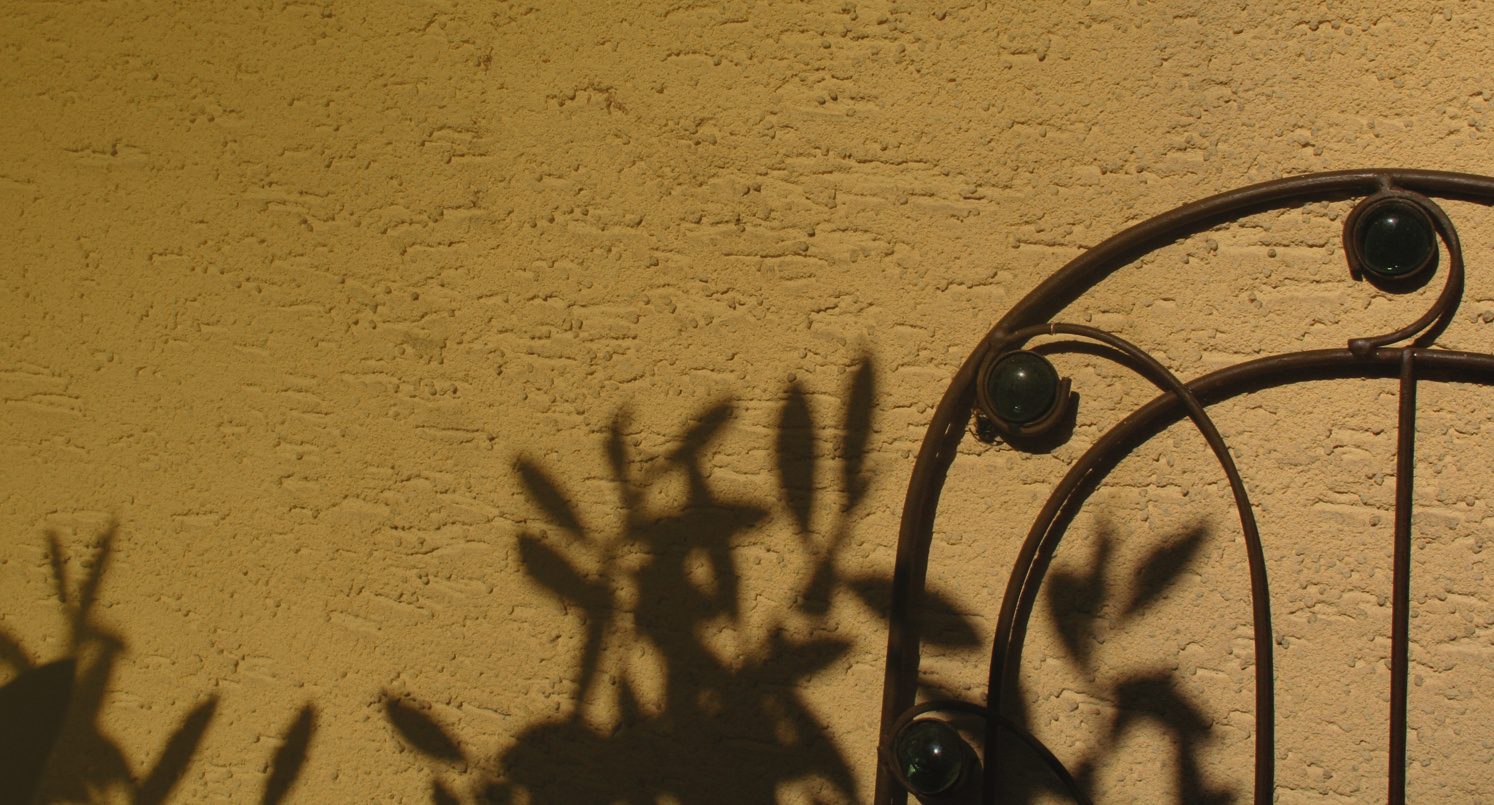 Sombra de una rama de olivo sobre una pared, junto a una reja