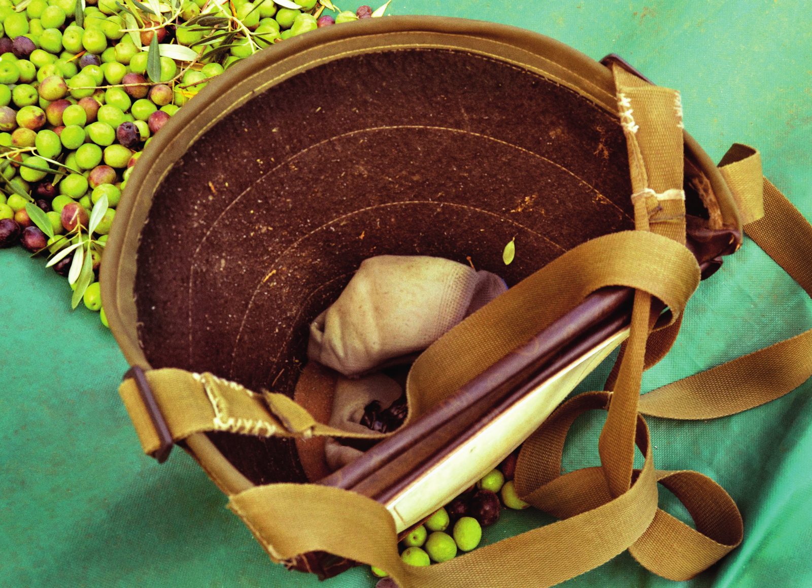 Lebrillo de barro con ajos y hierbas de aliño, rodeado de aceitunas