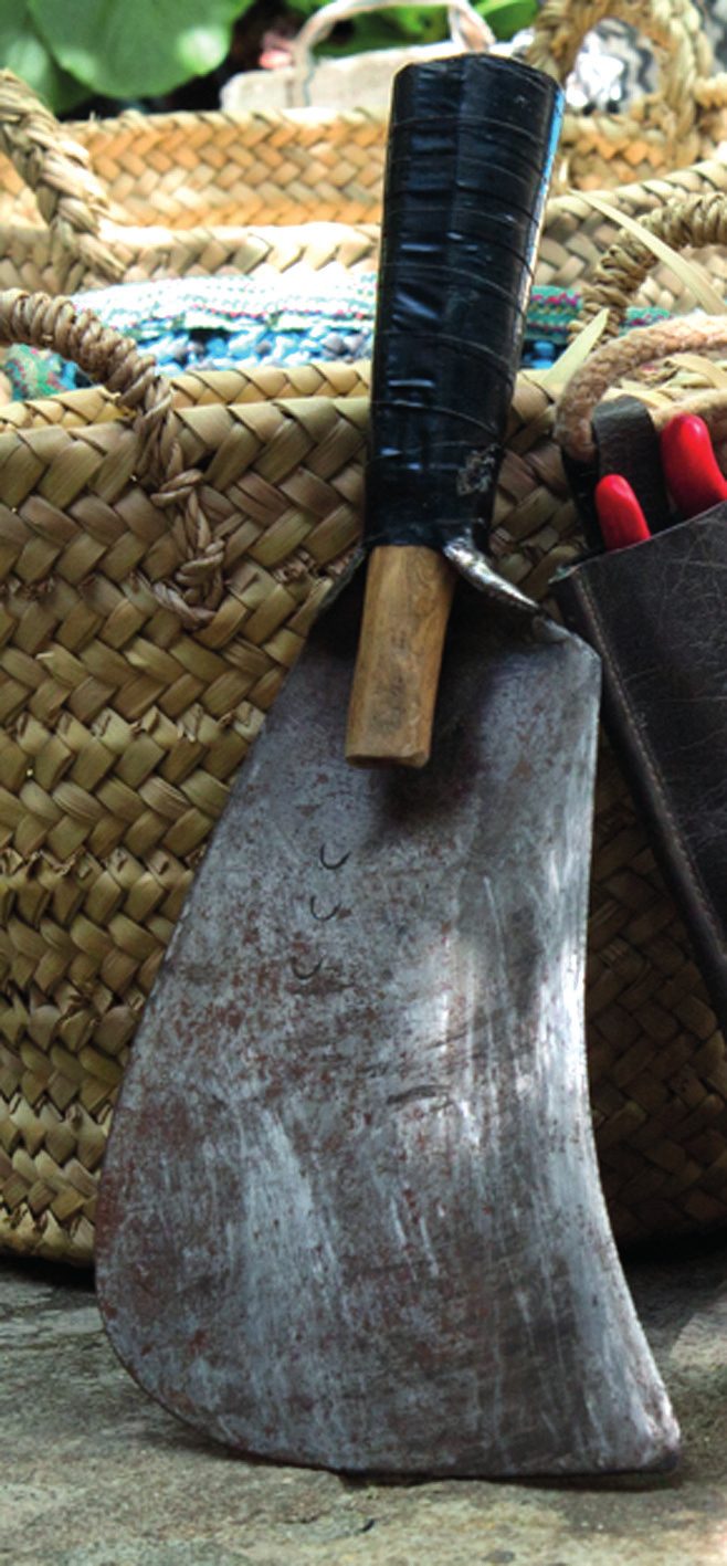 Una calaboza, la herramienta tradicional de poda, con su mango de madera