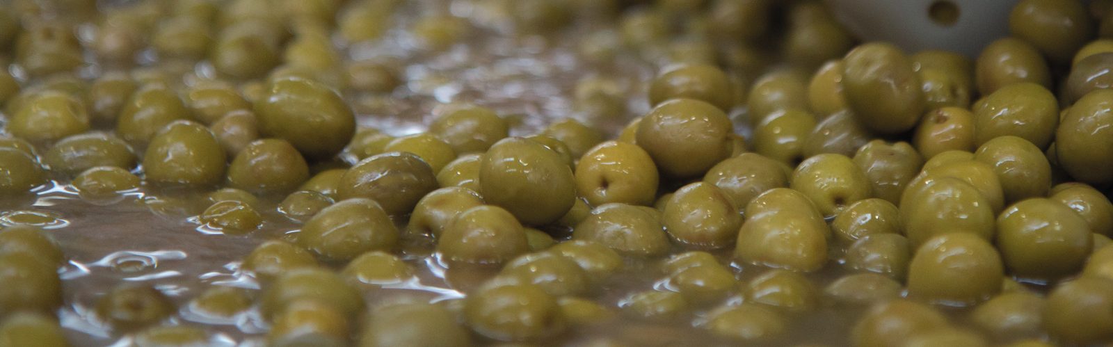 Aceitunas en salmuera