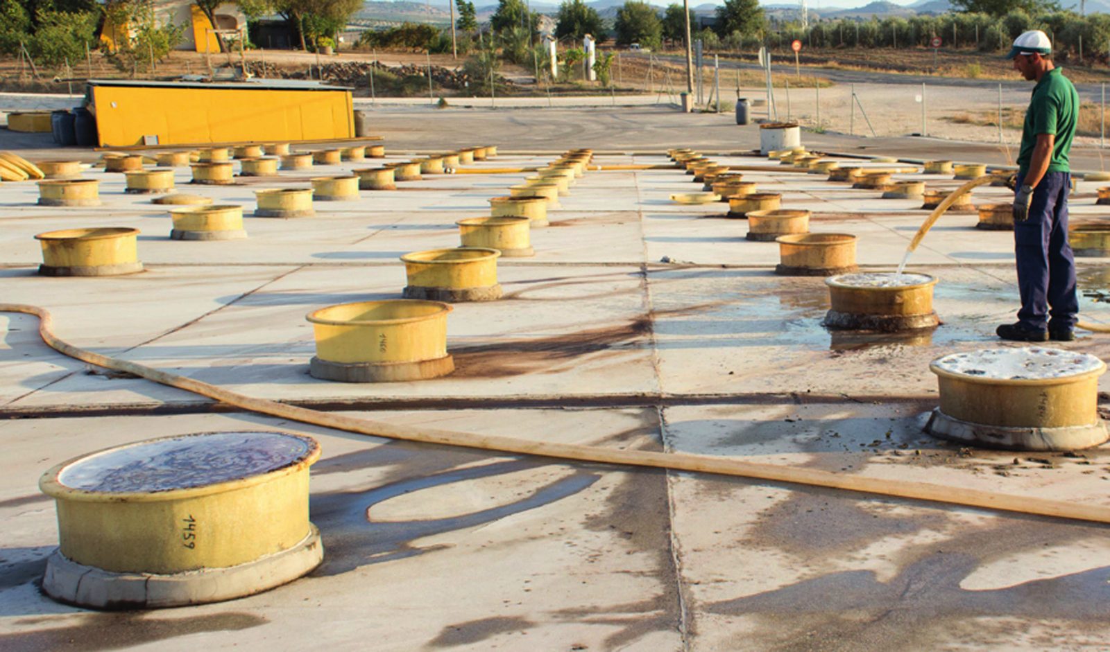 Patio de fermentación, con los depósitos enterrados