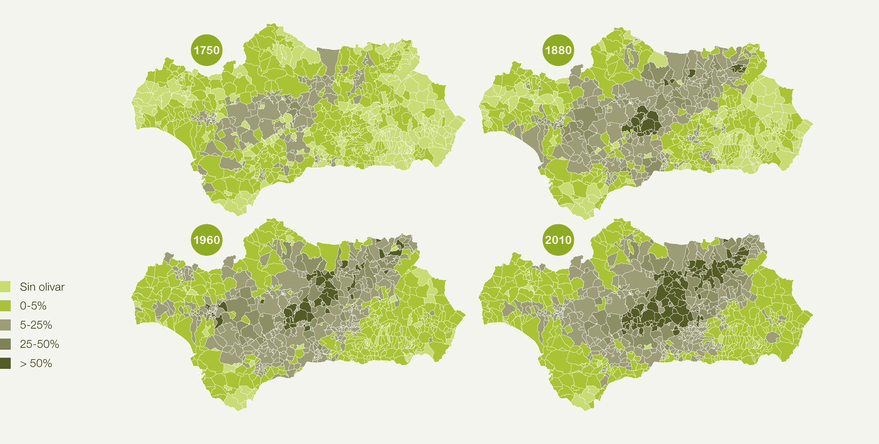 Cuatro mapas municipales de Andalucía, uno por cada corte temporal: 1750, 1880, 1960 y 2010. El verde claro del inicio va cediendo terreno a los grises y verdes oscuros del centro y el este, que marcan los municipios con más de un 25% de superficie de olivar.