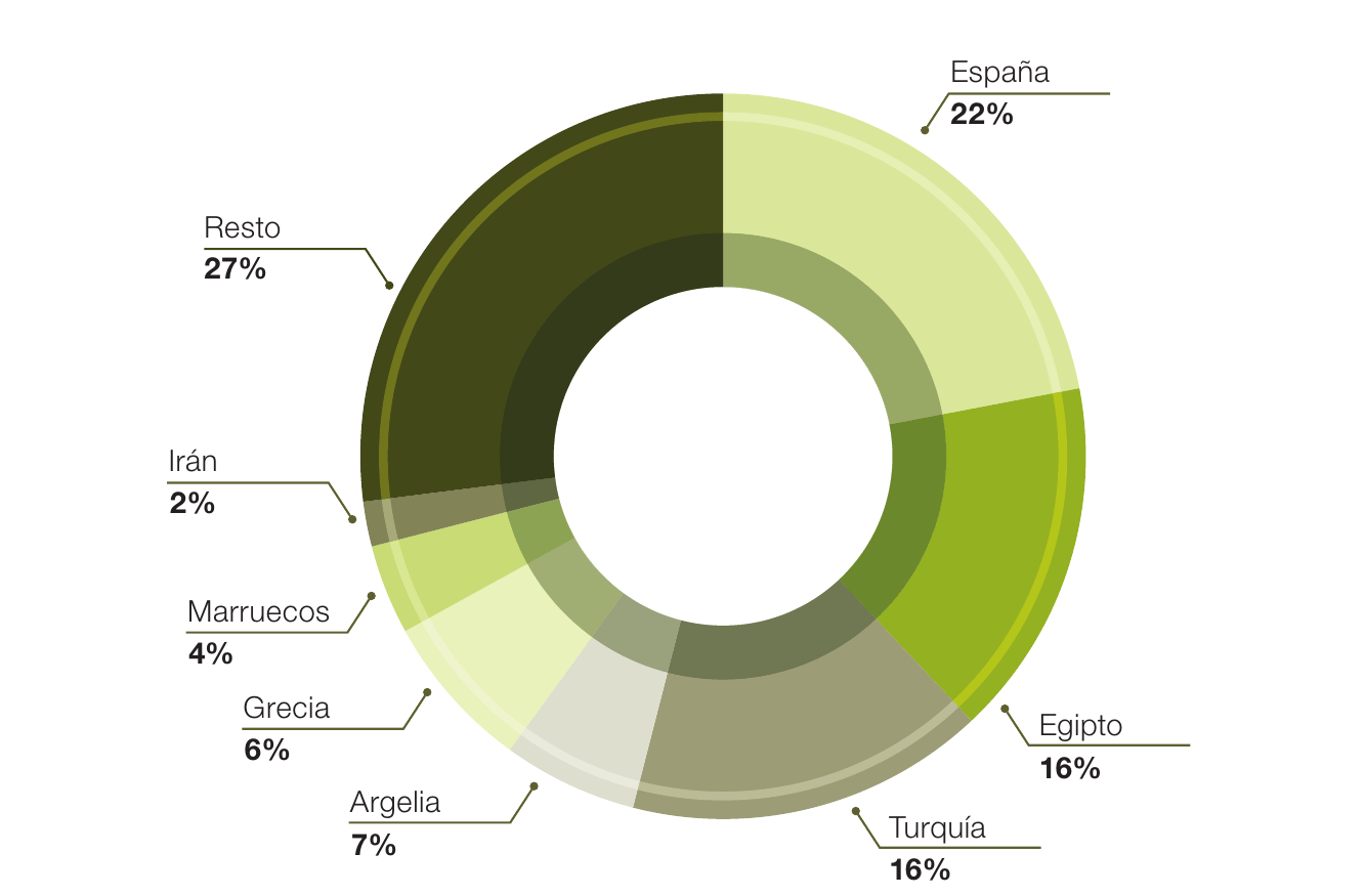 Gráfico de anillo con el reparto de la producción mundial de aceitunas de mesa: España 22%, Egipto 16%, Turquía 16%, Argelia 7%, Grecia 6%, Marruecos 4%, Irán 2% y el resto 27%.