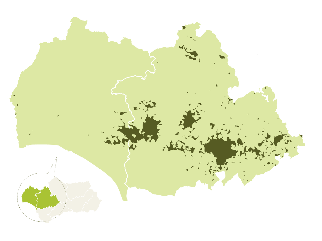 Mapa de la provincia de Sevilla en verde claro con las zonas de producción de la Manzanilla de Sevilla en verde oscuro, extendidas por el Aljarafe, la campiña y los alrededores de Arahal y Marchena. Un círculo abajo a la izquierda sitúa la provincia dentro de Andalucía.