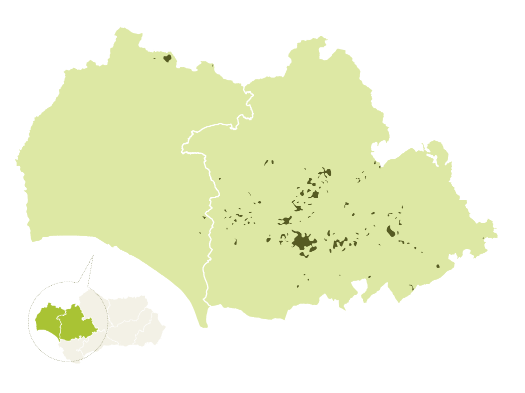 Mapa de la provincia de Sevilla en verde claro con las zonas de producción de la Gordal de Sevilla en verde oscuro, mucho más concentradas que las de la Manzanilla y agrupadas en el centro de la provincia. Un círculo abajo a la izquierda la sitúa dentro de Andalucía.
