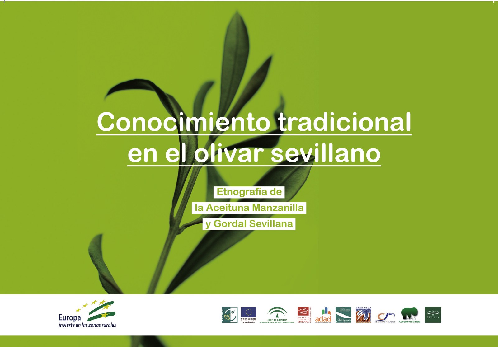 Cubierta del libro: rama de olivo sobre fondo verde